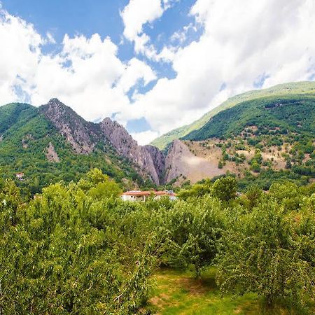 Irenes Resort Káto Loutrákion Eksteriør billede